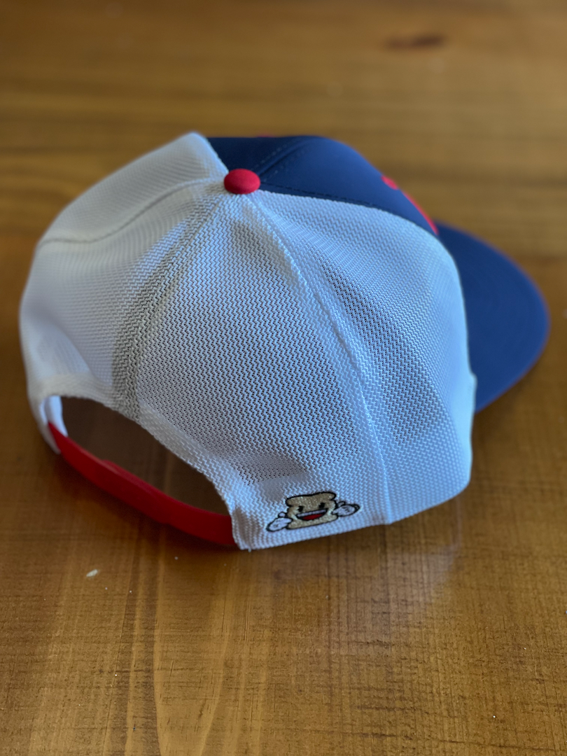 DFT Trucker Hat (Snapback)
